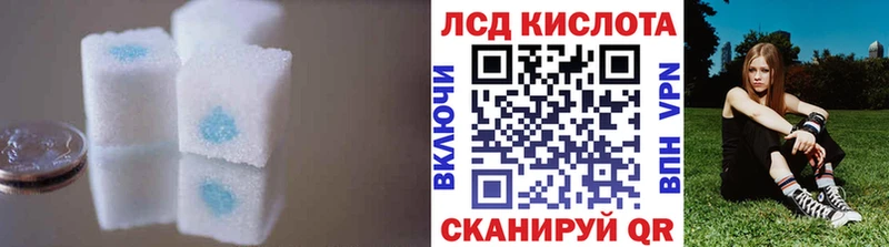 дарнет шоп  Шилка  Лсд 25 экстази ecstasy 