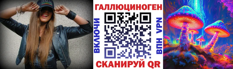 продажа наркотиков  маркетплейс какой сайт  Галлюциногенные грибы MAGIC MUSHROOMS  Шилка 